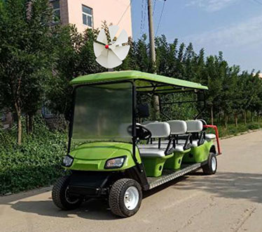 YLRS 高尔夫-8